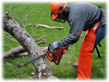 Tree Felling Joburg, JHB, Johannesburg Tree Fellers, Dangerous Tree Removal, Tree Trimming, Stump Removal, Visit http://www.treefellingjoburg.co.za