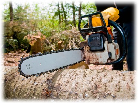 Tree Felling Joburg, JHB, Johannesburg Tree Fellers, Dangerous Tree Removal, Tree Trimming, Stump Removal, Visit http://www.treefellingjoburg.co.za